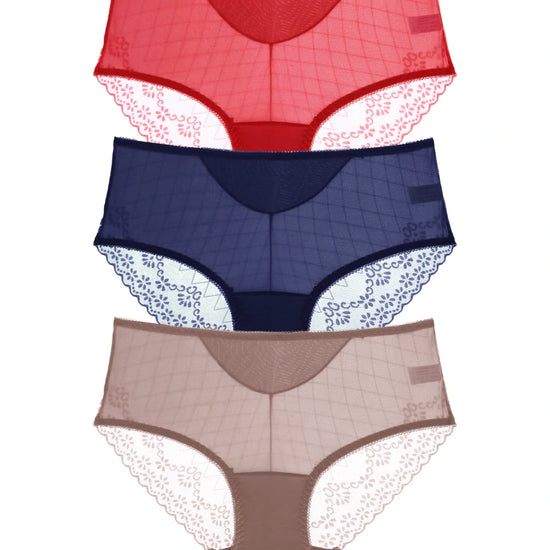 Mesh lace underwear set in red blue and taupe