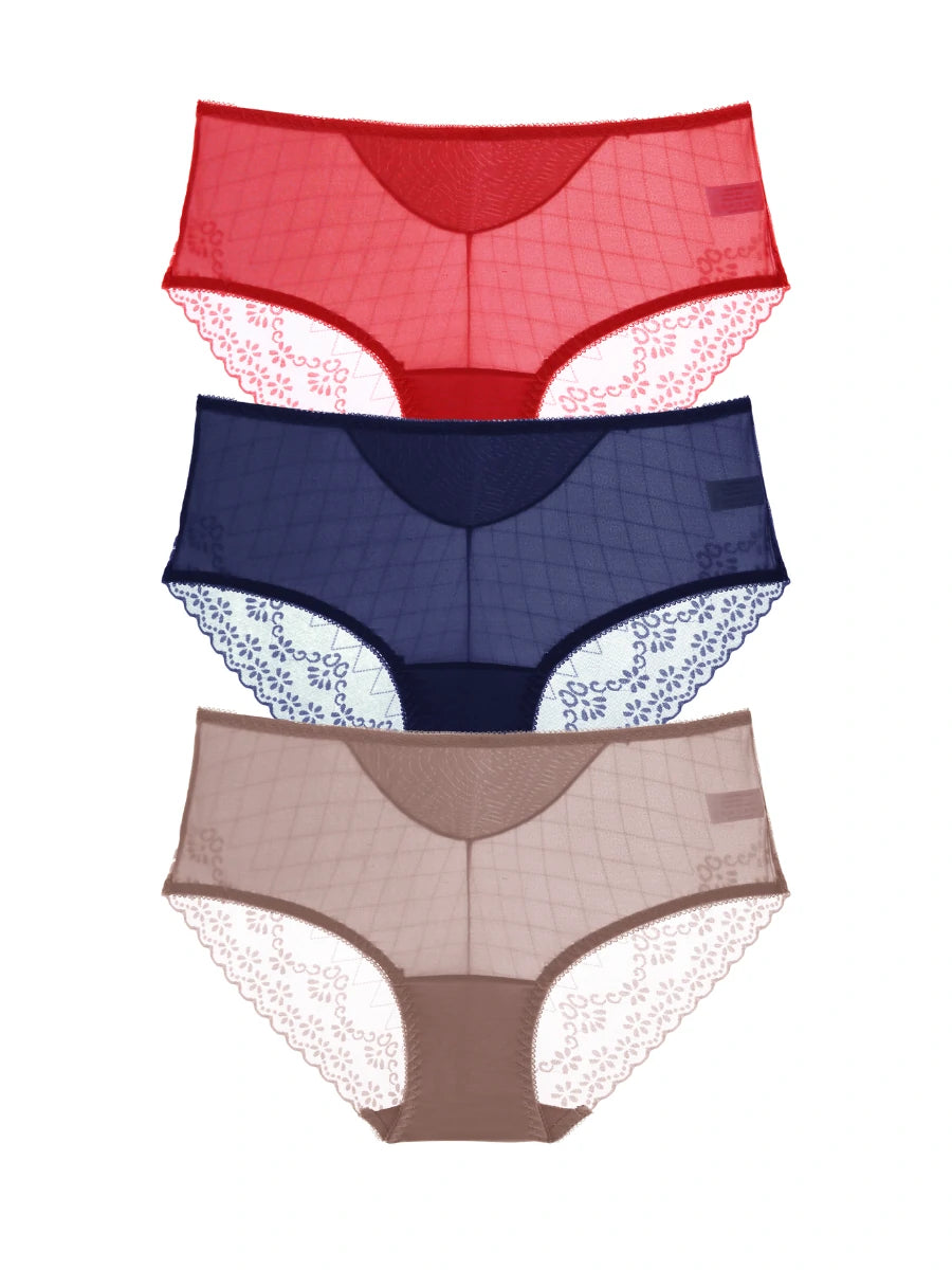 Mesh lace underwear set in red blue and taupe